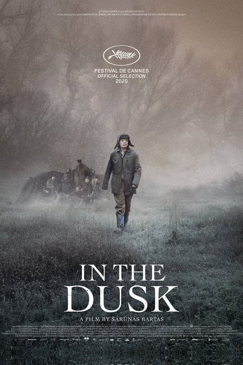 In the Dusk poster In the Dusk (2019) Online Best Quality