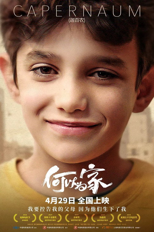 何以为家电影海报