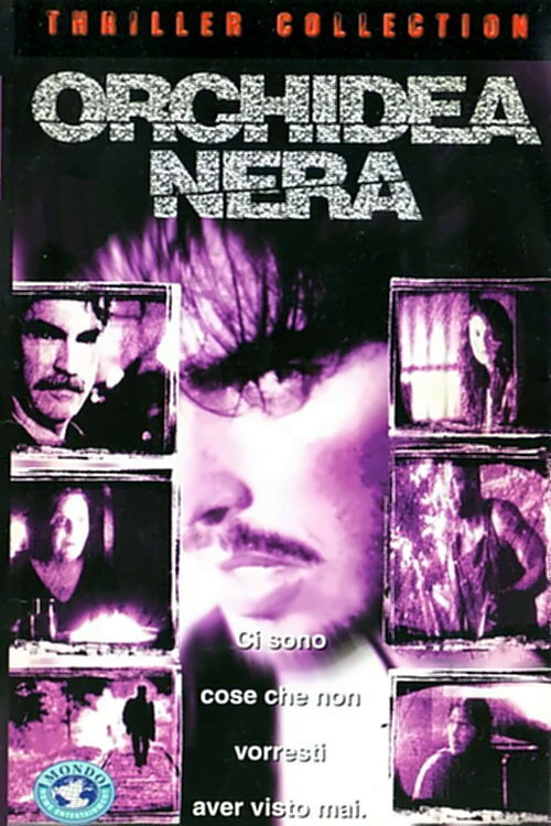 Night Orchid poster 2