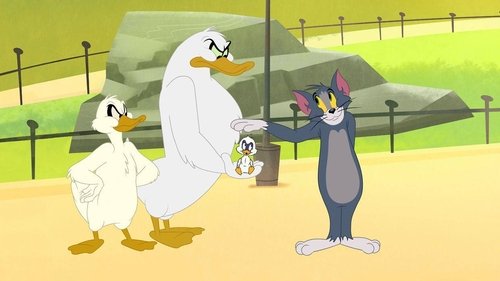 Tom and Jerry in New York - 1. Bölüm