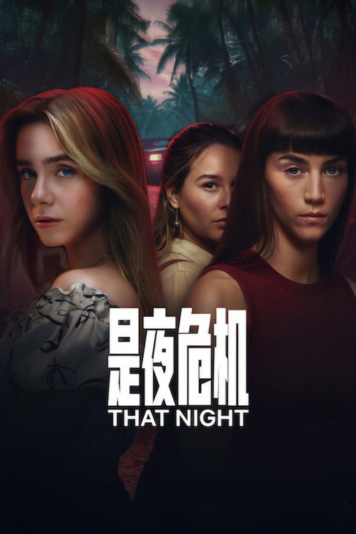 是夜危机电影海报