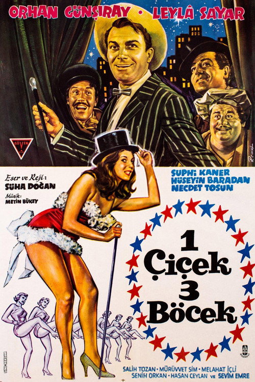 Bir Çiçek Üç Böcek poster 3