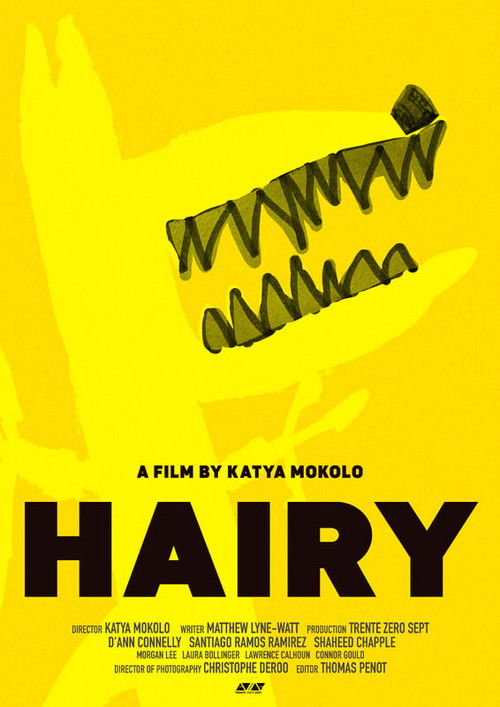 HAIRY Poster