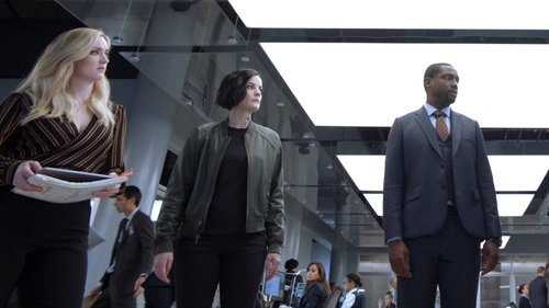 Blindspot - 11. Bölüm