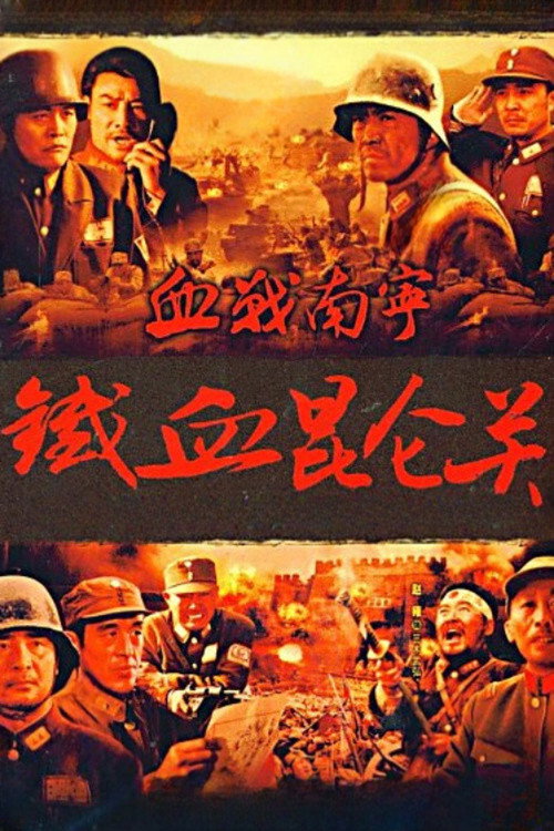 血战南宁 poster 2