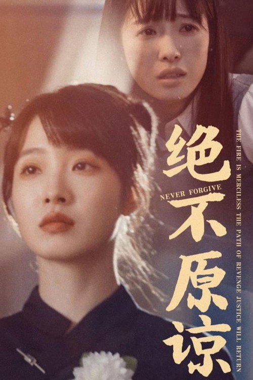 绝不原谅电影海报