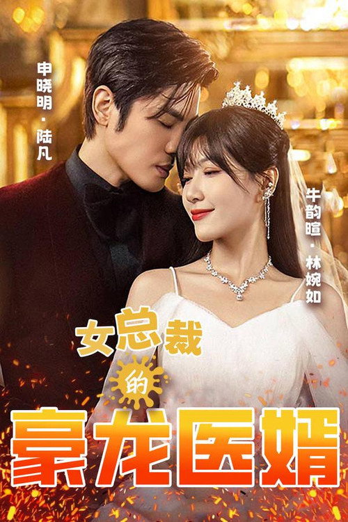 女总裁的豪龙医婿海报
