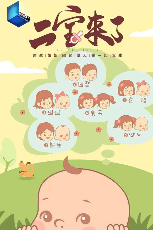 二宝来了电影海报