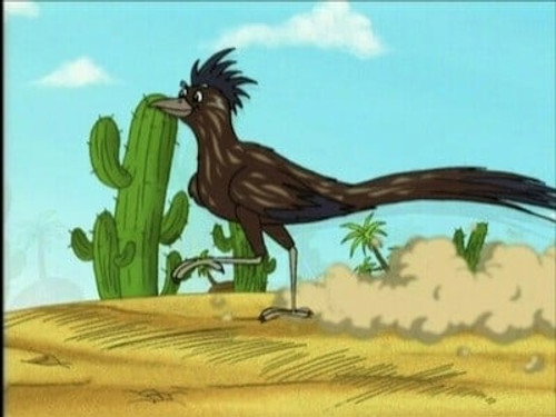 Diego's Safari Rescue