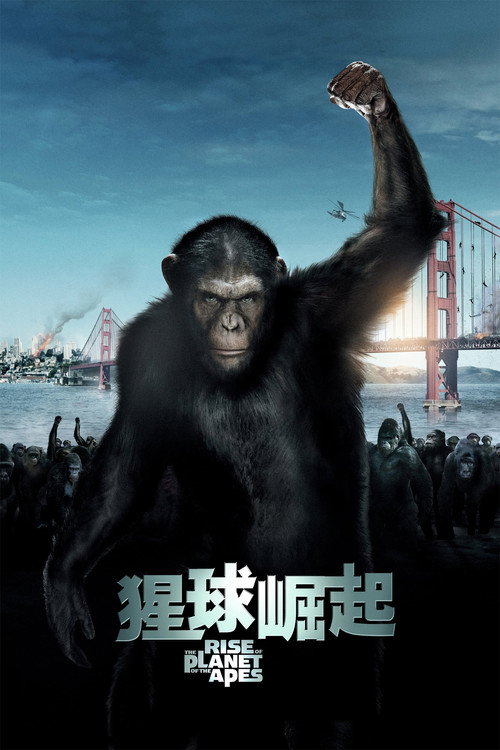 猩球崛起电影海报