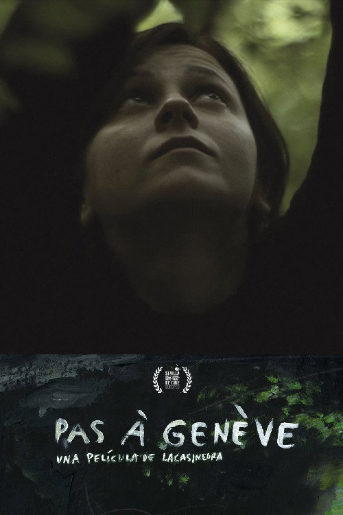 Pas &Agrave; G&egrave;neve电影海报