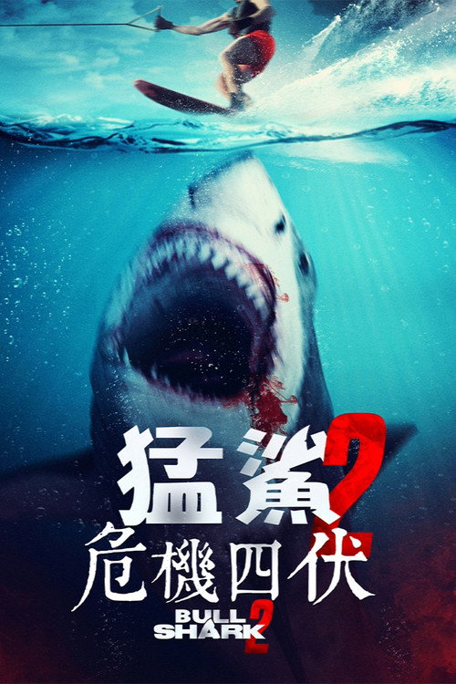 水中血2电影海报