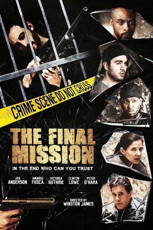 The Final Mission poster 2