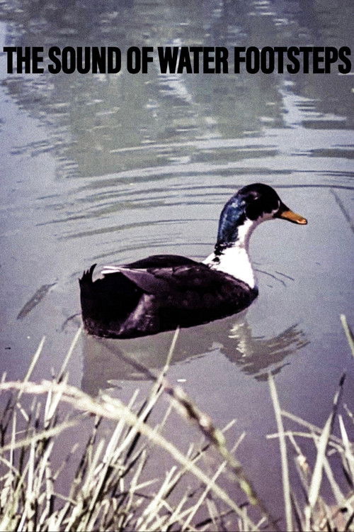 The+Sound+of+Water+Footsteps