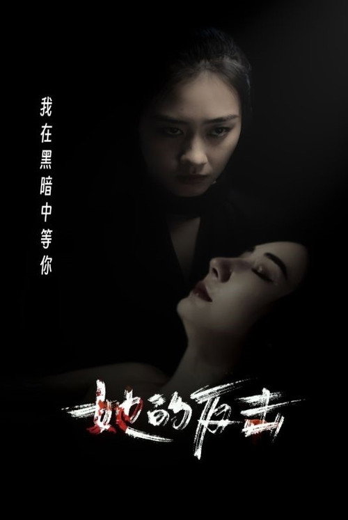她的反击电影海报
