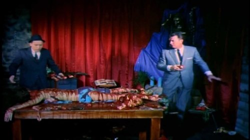 Blood Feast (1963) Película Completa en español Latino