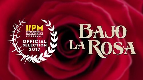 Bajo la rosa 2017