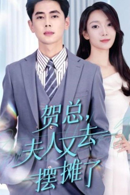 贺总，夫人又去摆摊了电影海报