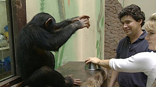 Monkey Business第3季第1集