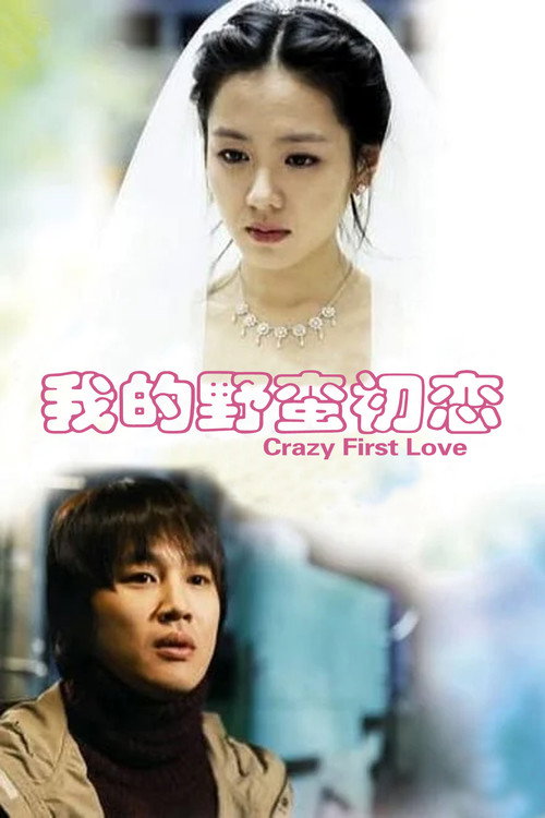 我的野蛮初恋电影海报