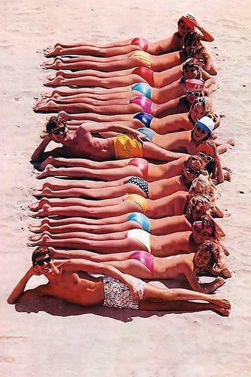 Private Resort poster