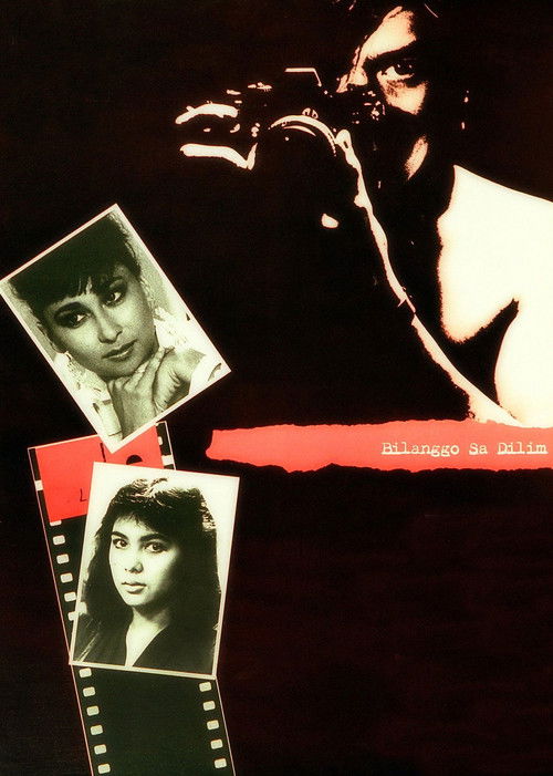 Prisoner in the Dark Poster