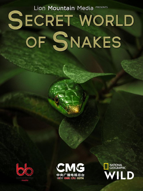 Secret World of Snakes电影海报