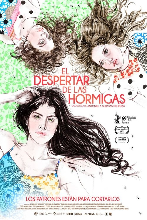 El despertar de las hormigas (2019) PelículA CompletA 1080p en LATINO espanol Latino