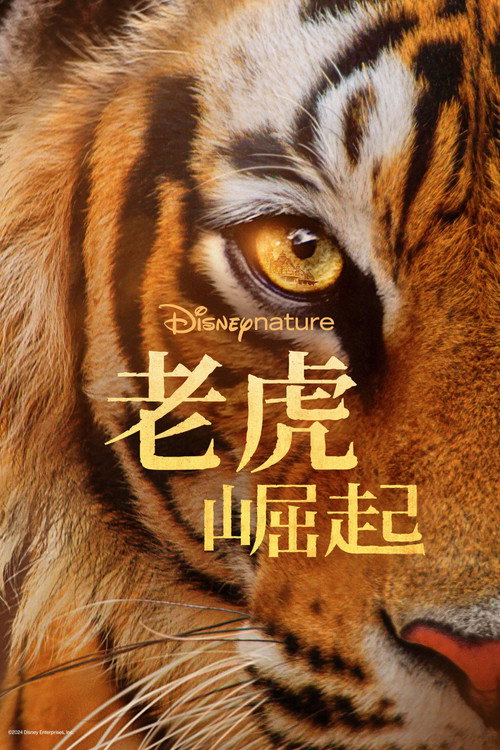 老虎崛起电影海报