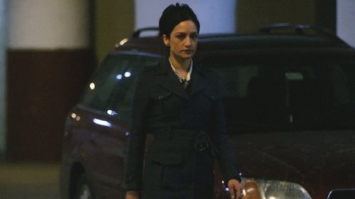 The Good Wife - 17. Bölüm