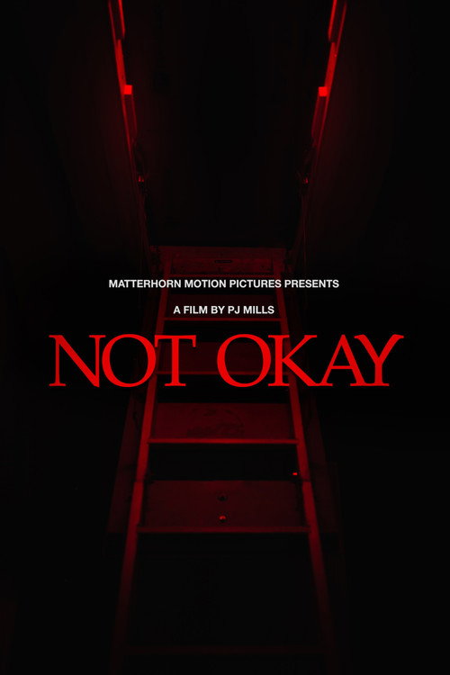 Not Okay poster 2
