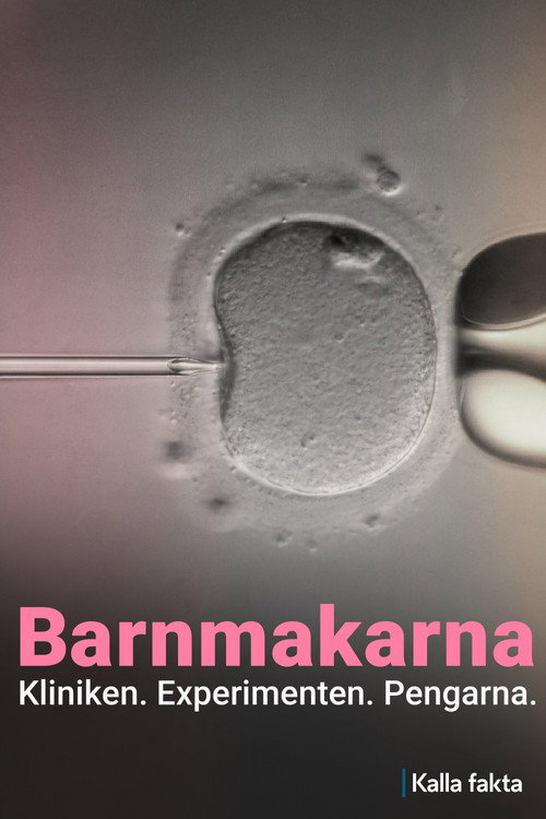 Kalla fakta: Barnmakarna电影海报