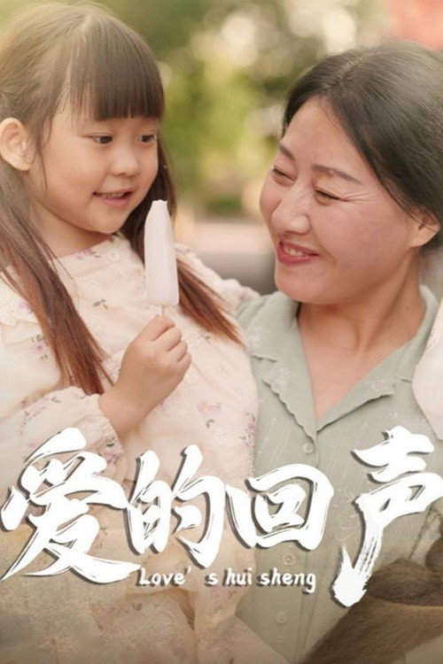 爱的回声电影海报