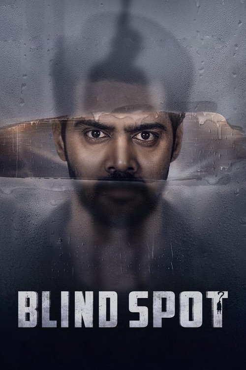 Blind Spot Poster