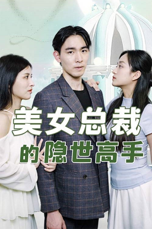 美女总裁的隐世高手海报