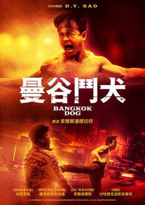 曼谷战狼电影海报