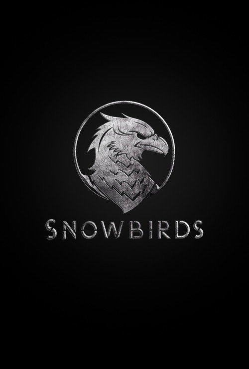 Snowbirds Poster