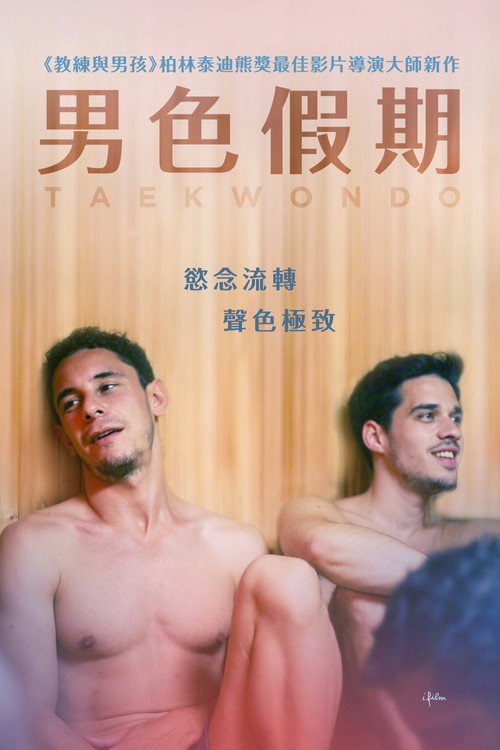 跆拳道电影海报