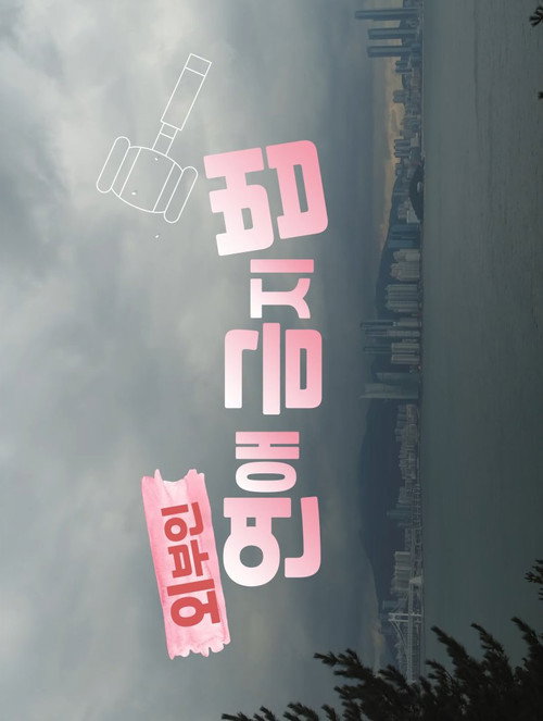 외부인 연애금지법电影海报