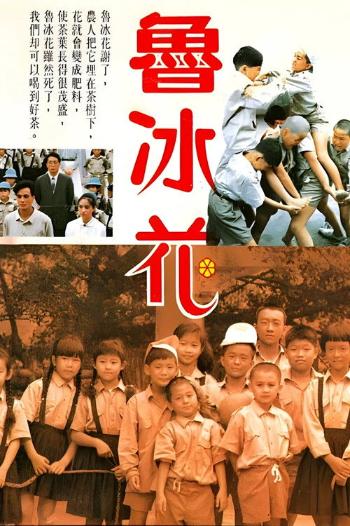 鲁冰花电影海报