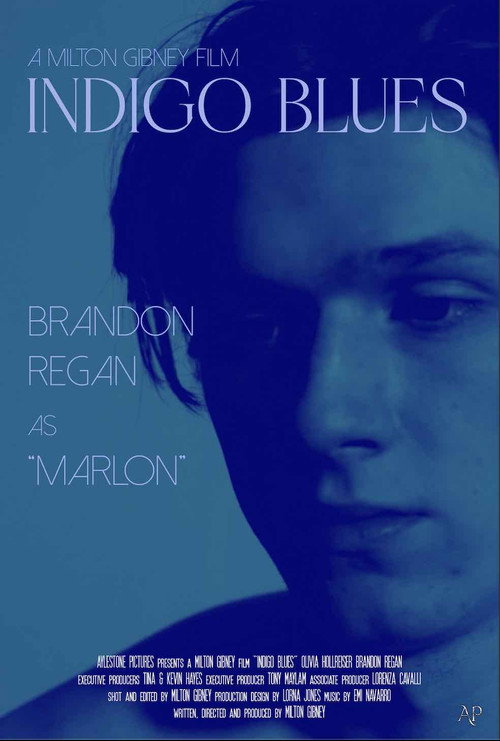 Indigo Blues poster 3