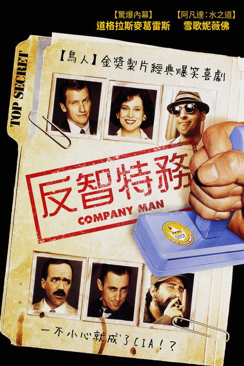 反智特工电影海报