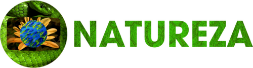 Production Company Logo
