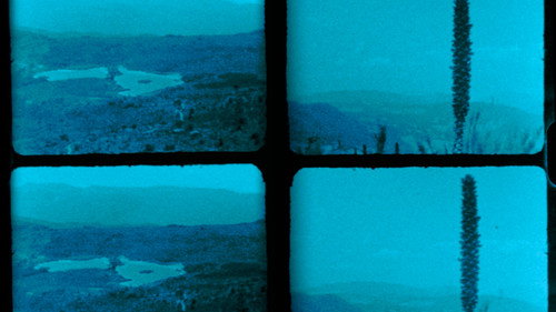 Backdrop