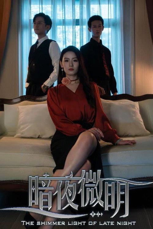 暗夜微明电影海报