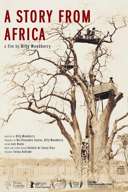 A Story from Africa poster 6