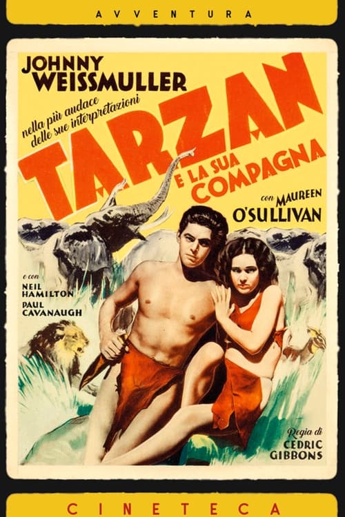 Tarzan+e+la+compagna