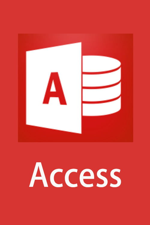 Access数据库速成电影海报
