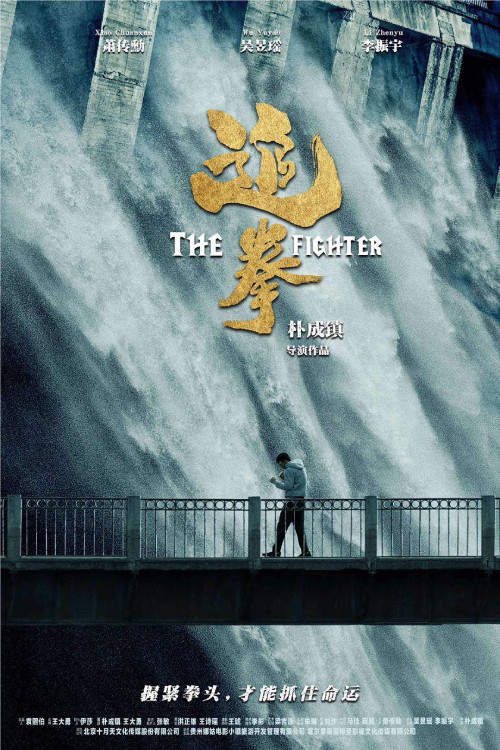 The Fighter poster 3
