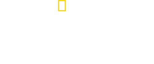 movies